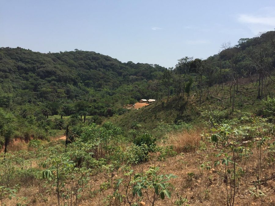 Forested hills with a small cluster of buildings at the valley floor in the project region of Sierra Leone