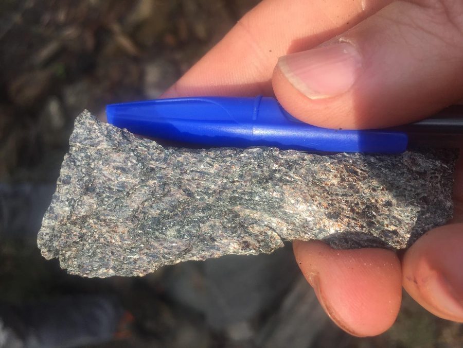 Hand-held sample of quartz-veined rock from the project area